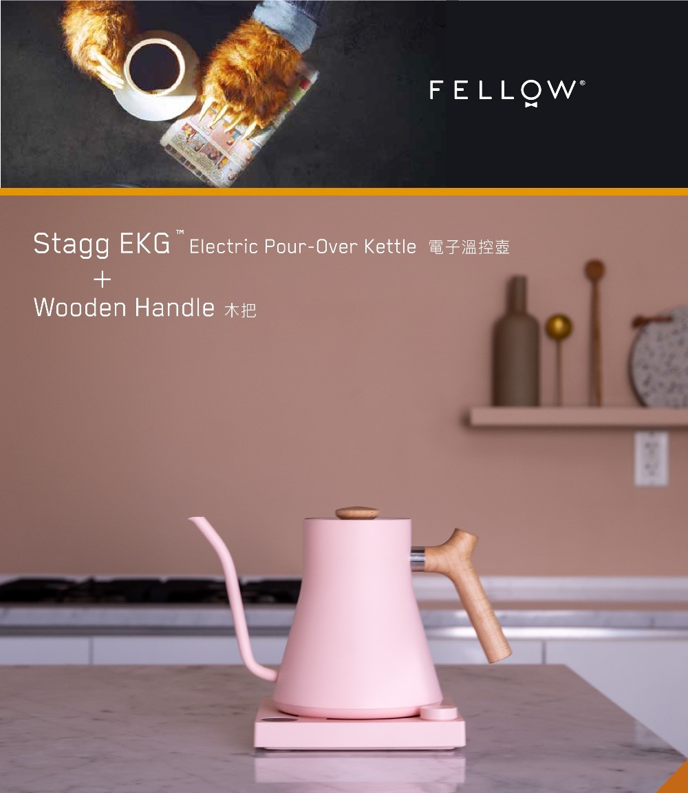 fellow stagg ekg 600ml